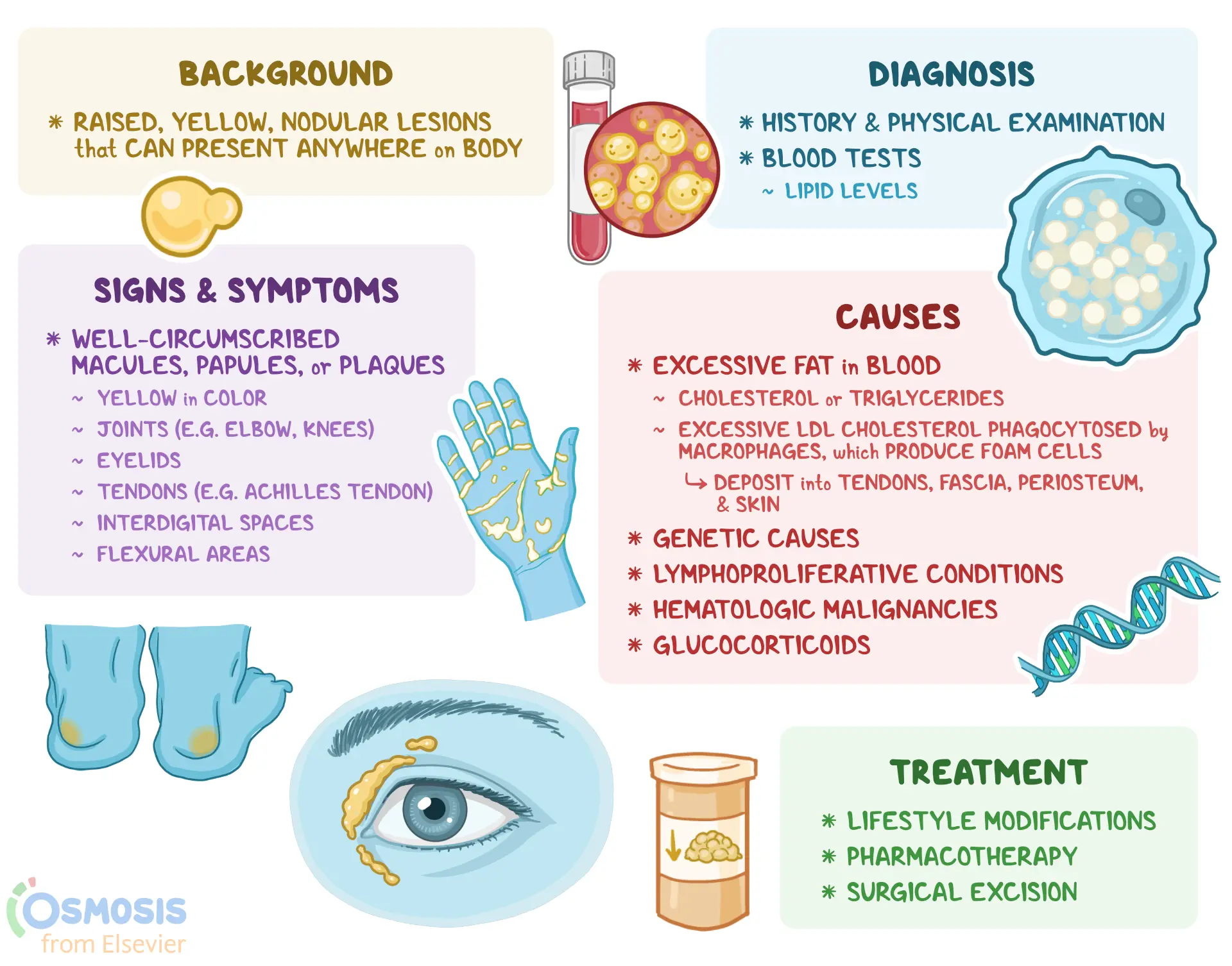 biji-kolestrol-tandak-kolestrol-tinggi