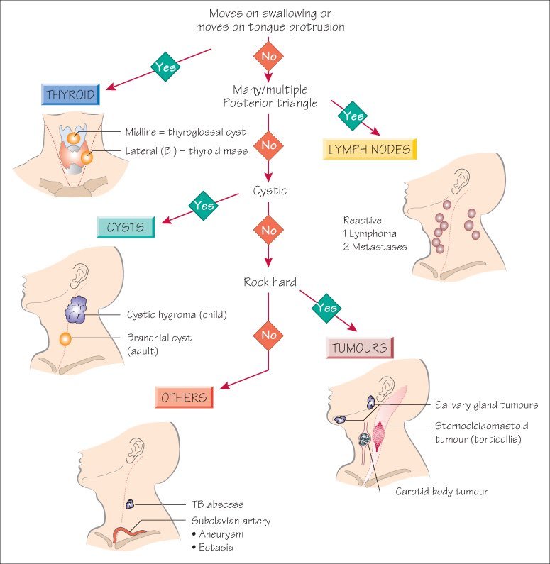 punca-ketulan-di-leher